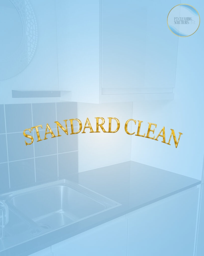 standard cleaning bristol